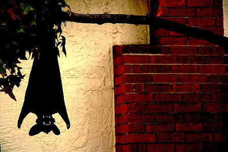 Hanging Bats Halloween Party Decorating Ideas Hanging Bats Halloween Party Decorating Ideas
