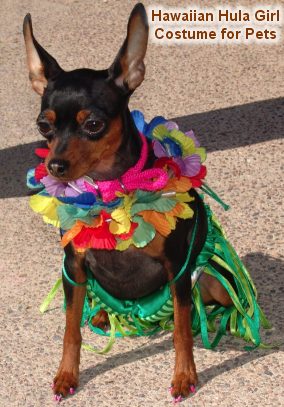 Instructions for making Pet Hula Girl Halloween Costume